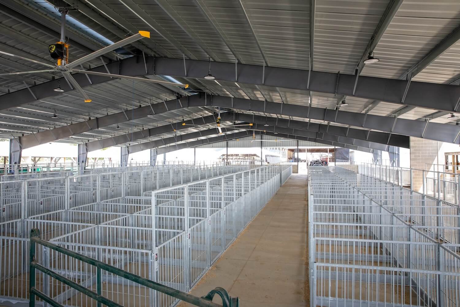 fayette-county-fair-new-small-species-barn-interior Interior view of the newly constructed small species barn at the Fayette County Fair, showcasing rows of clean, modern metal animal pens under a spacious, well-lit steel-framed roof with large ceiling fans.